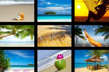 Tropic collage clipart