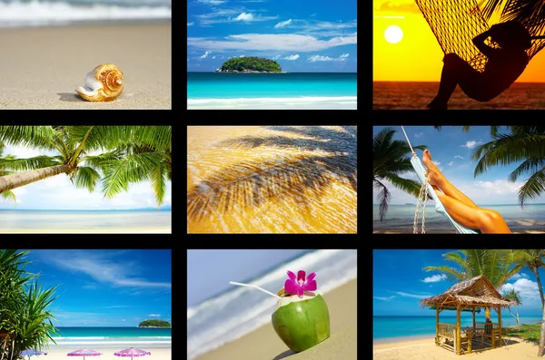 Colagem tropical — Fotografia de Stock