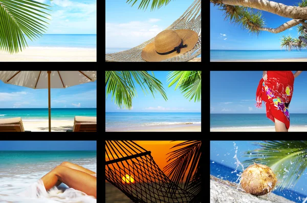 Collage tropicale — Foto Stock