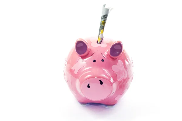 stock image Piggy bank