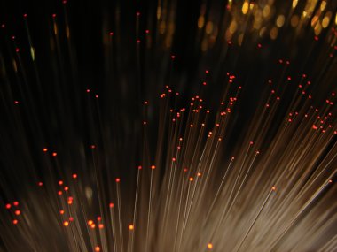 Fiber Optik