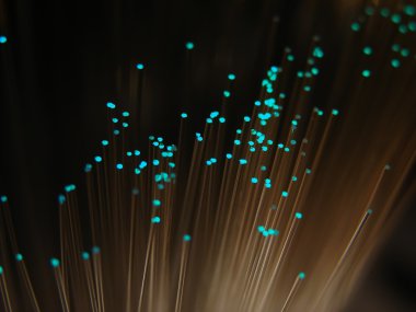 Fiber Optik