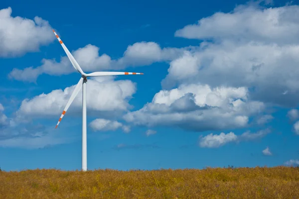 Stock image Landscape with windmill