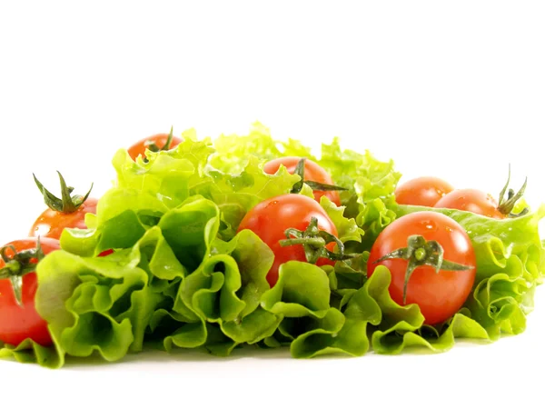 Kleine frische Tomaten und Salat — Stockfoto