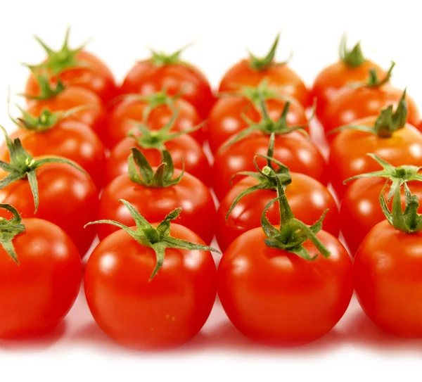 Řádky malých červených rajčat — Stock fotografie