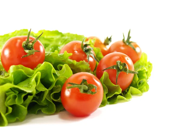 西红柿和生菜 免版税图库照片