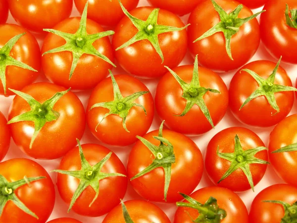 Many tomatoes Stock Photo