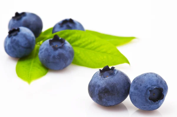 Stock image Blueberry