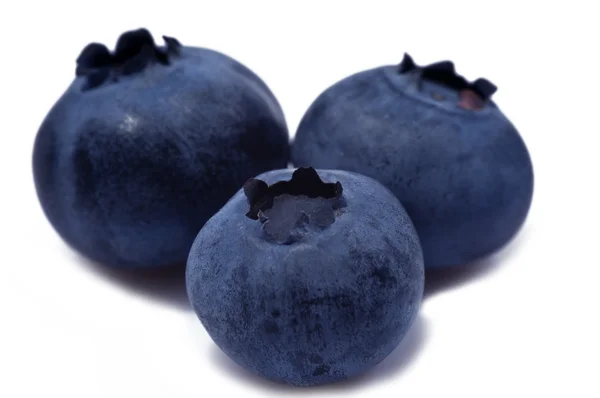 Three Blueberry — Stock Photo, Image