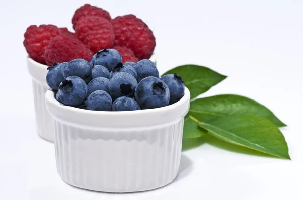 Blueberry and Raspberry — Stock Photo, Image
