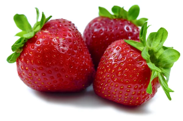 신선한 딸기 로열티 프리 스톡 사진