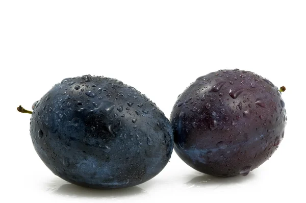 Two Fresh And Wet Plums — Stock Photo, Image