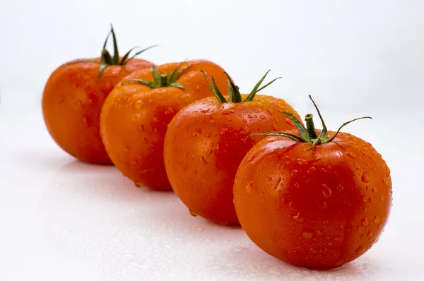 Four fresh tomatoes Royalty Free Stock Photos