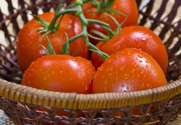 Red Tomatoes in basket Stock Picture