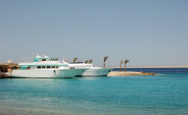 Kızıldeniz'bay.