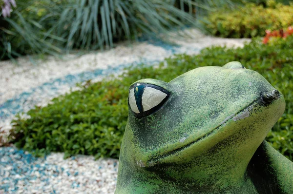 La rana verde es una fuente —  Fotos de Stock