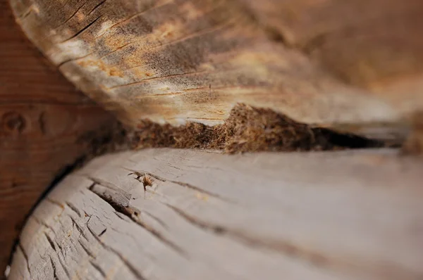 Куточок дерев'яного будинку крупним планом — стокове фото