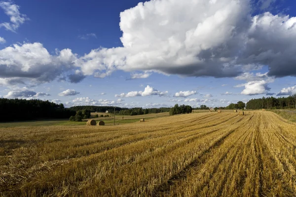 stock image Country landscape