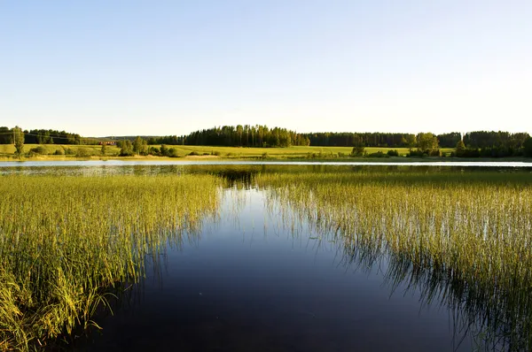 Спокойное озеро — стоковое фото