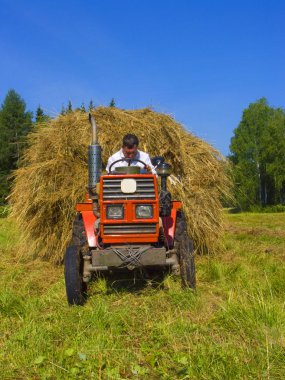 Haymaking in Siberia 4 clipart