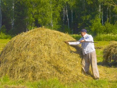 Sibirya'da 20 haymaking