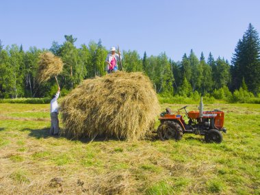 Haymaking in Siberia 15 clipart