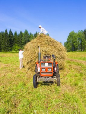 Haymaking in Siberia 10 clipart