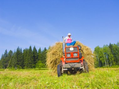 Sibirya'da 7 haymaking