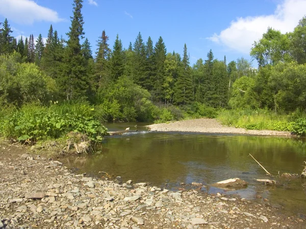 Stock image The small Siberian river