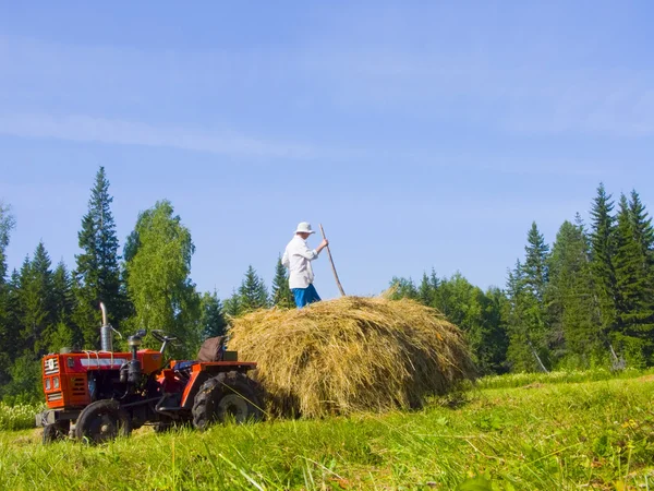 Haymaking na Sibéria 16 — Fotografia de Stock