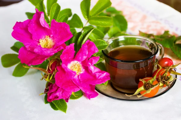 Curative tea with a dogrose — Stock Photo, Image