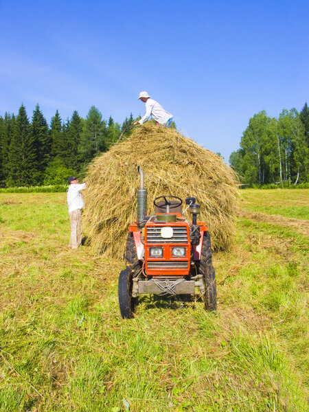 Haymaking in Siberia 10