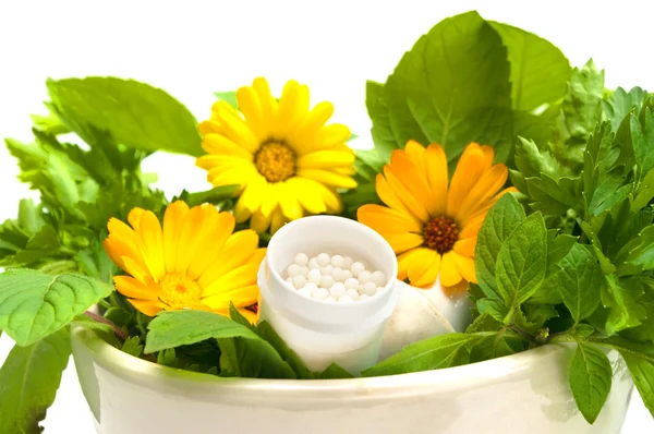 Homeopathische schetsen — Stockfoto
