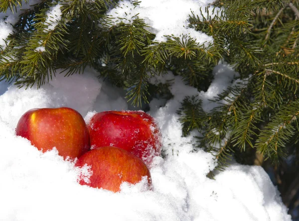 Appels in sneeuw — Stockfoto