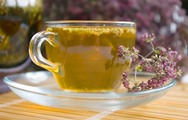 Curative tea with origanum — Stock Photo, Image