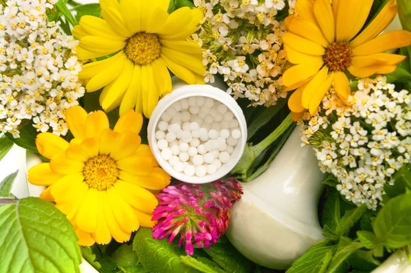 Homeopatické skici — Stock fotografie