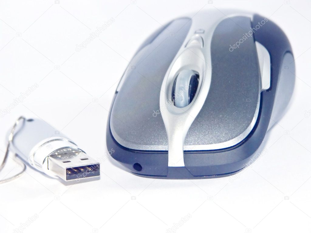 Mouse and flash 1 Stock Photo by ©soloir 1899476