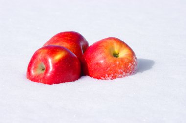 Apples in snow clipart