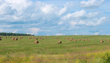 Harvest season clipart