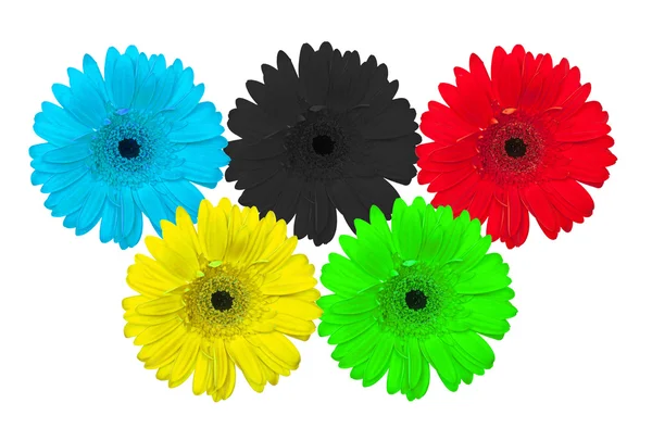 Kwiaty jako symbol kół Olimpijskich — Zdjęcie stockowe