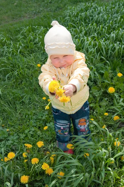 Girl and dandelions — Stock Photo, Image