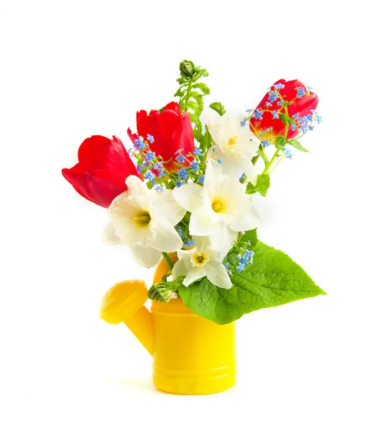 Bouquet of spring flowers i — Stock Photo, Image