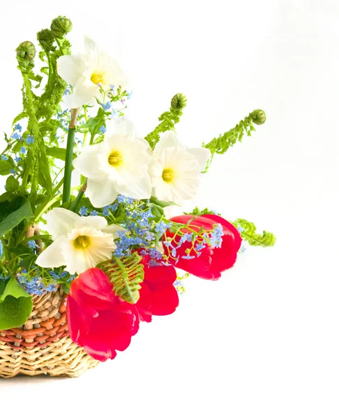 Buquê de flores da primavera i — Fotografia de Stock