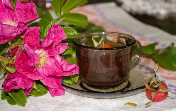 Curative tea with a dogrose — Stock Photo, Image