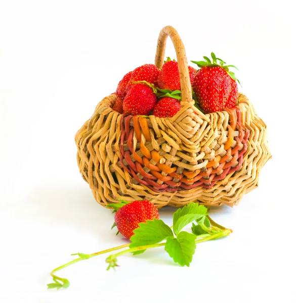 Korb mit Erdbeere — Stockfoto