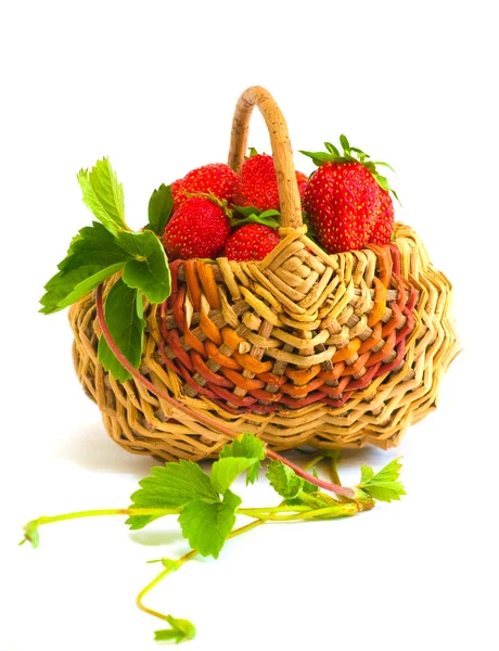 有草莓篮子 — 图库照片