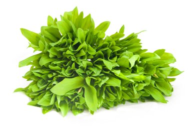 Ramson fresh leaves clipart