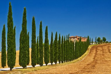 Tuscany landscape, Italy clipart