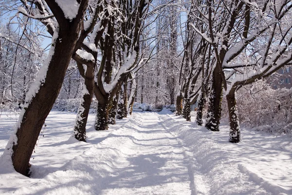 stock image Lazienki park