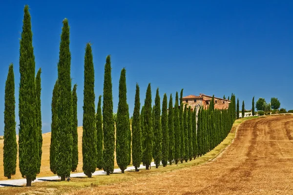 Granja Toscana vista Imagen de archivo